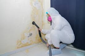 Best Mold Documentation for Insurance Claims  in Rocky Point, NY